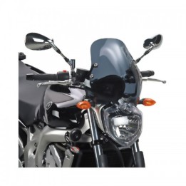 D140KIT Κιτ για  ζελατίνα FZ 6 '04 naked ΥΑΜAHA GIVI