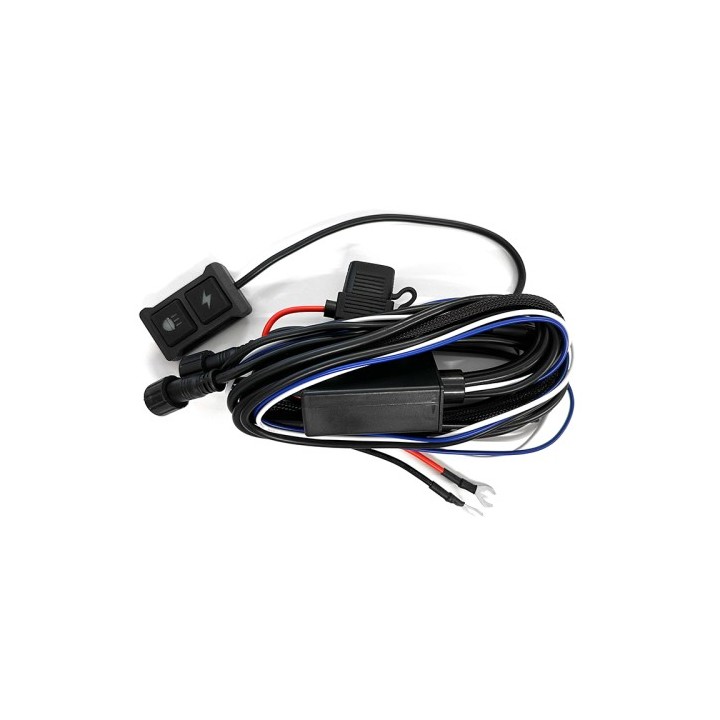 Διακόπτης για προβολάκια led Pilot